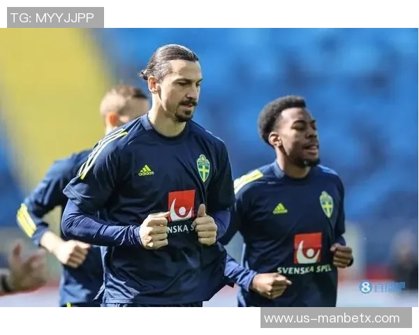 瑞典足球俱乐部的历史与发展现状探讨及未来展望