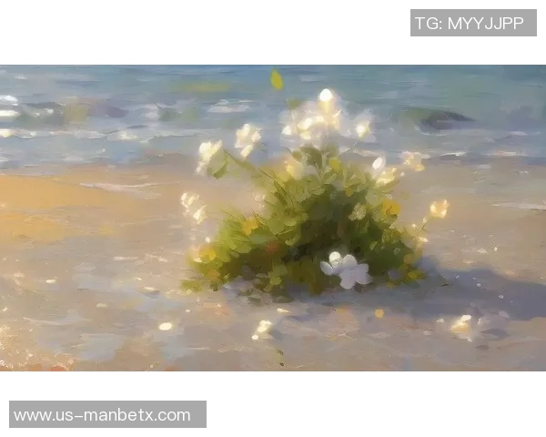 焕呵之美：探索生活中的细腻与温暖，感受每一个瞬间的独特魅力