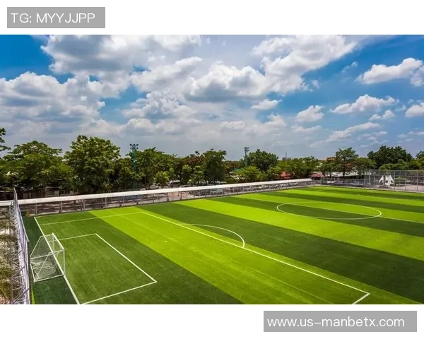 足球场草坪的多样性与选择指南解析不同品种的优缺点及适用场景 足球场草坪的多样性与选择指南解析不同品种的优缺点及适用场景